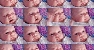 Apple MacBook Pro M5 Max｜舊瓶新酒仲係咪最強？專業用家要等定衝？ 封面圖片 | 圖片來源：Photo by woodleywonderworks via Openverse (CC BY 2.0)